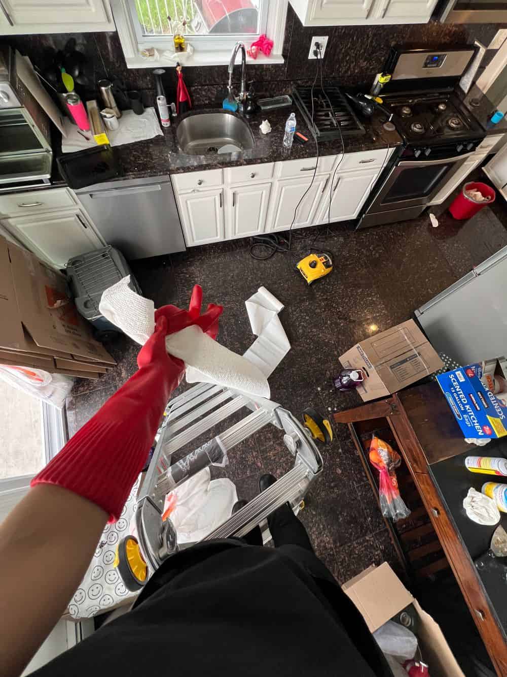 Basic House Cleaning image