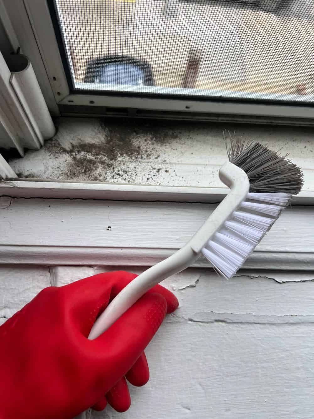 Deep House Cleaning image